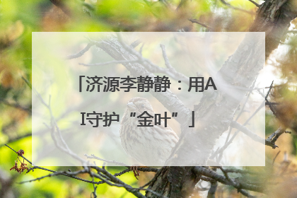 济源李静静：用AI守护“金叶”