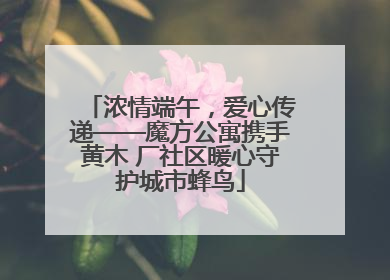 浓情端午，爱心传递——魔方公寓携手黄木 厂社区暖心守护城市蜂鸟