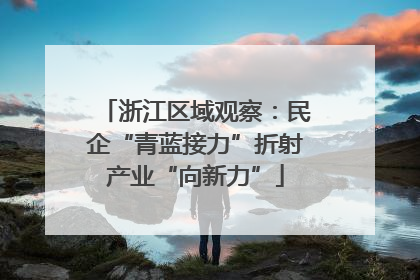 浙江区域观察：民企“青蓝接力”折射产业“向新力”