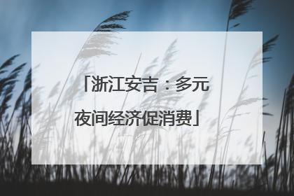 浙江安吉：多元夜间经济促消费