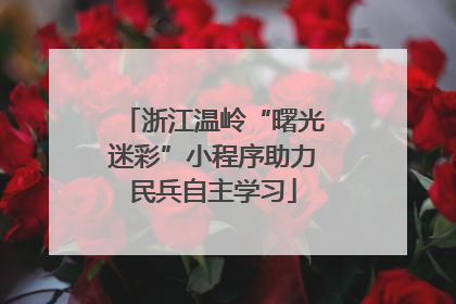 浙江温岭“曙光迷彩”小程序助力民兵自主学习