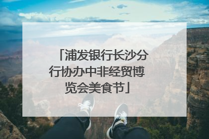 浦发银行长沙分行协办中非经贸博览会美食节