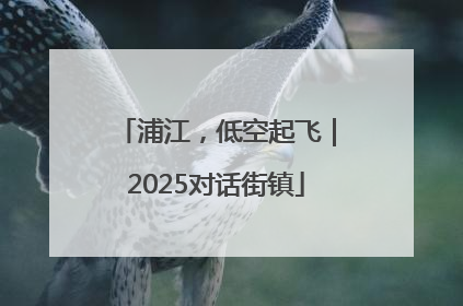 浦江，低空起飞｜2025对话街镇