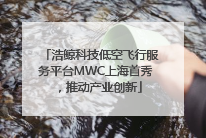 浩鲸科技低空飞行服务平台MWC上海首秀，推动产业创新