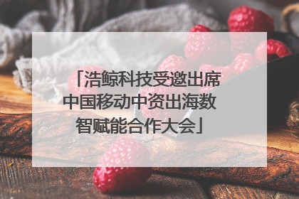 浩鲸科技受邀出席中国移动中资出海数智赋能合作大会