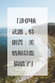 涉伊核武器，特朗普：美情报总监搞错了
