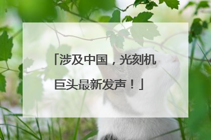 涉及中国，光刻机巨头最新发声！