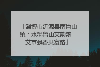 淄博市沂源县南鲁山镇：水墨鲁山艾韵浓 艾草飘香共富路
