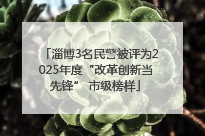 淄博3名民警被评为2025年度“改革创新当先锋” 市级榜样
