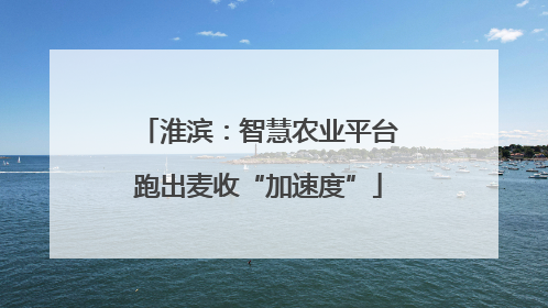 淮滨：智慧农业平台跑出麦收“加速度”