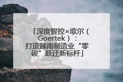 深度智控×歌尔（Goertek）：打造越南制造业“零碳”跃迁新标杆