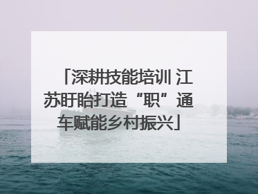 深耕技能培训 江苏盱眙打造“职”通车赋能乡村振兴