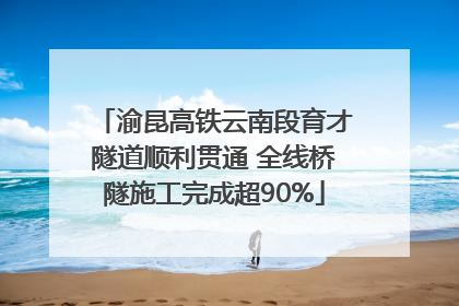 渝昆高铁云南段育才隧道顺利贯通 全线桥隧施工完成超90%