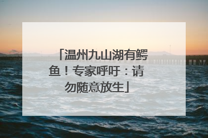温州九山湖有鳄鱼！专家呼吁：请勿随意放生