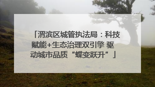 渭滨区城管执法局：科技赋能+生态治理双引擎 驱动城市品质“蝶变跃升”