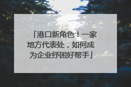港口新角色！一家地方代表处，如何成为企业纾困好帮手