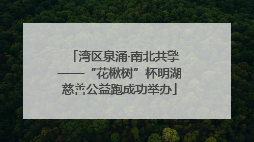 湾区泉涌·南北共擎——“花楸树”杯明湖慈善公益跑成功举办