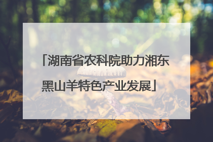 湖南省农科院助力湘东黑山羊特色产业发展