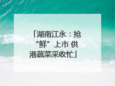 湖南江永：抢“鲜”上市 供港蔬菜采收忙