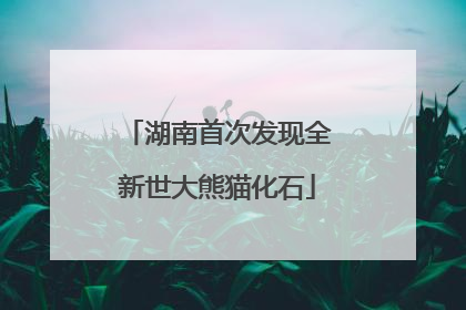 湖南首次发现全新世大熊猫化石