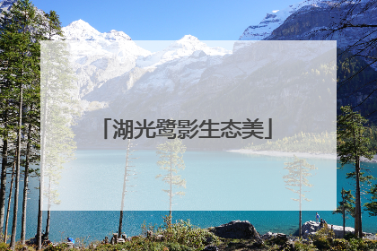 湖光鹭影生态美