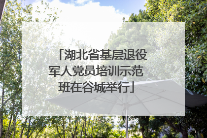 湖北省基层退役军人党员培训示范班在谷城举行