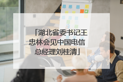 湖北省委书记王忠林会见中国电信总经理刘桂清