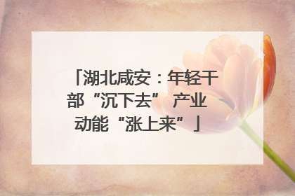湖北咸安：年轻干部“沉下去” 产业动能“涨上来”