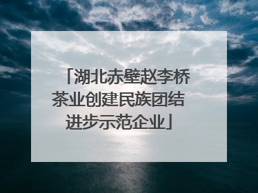 湖北赤壁赵李桥茶业创建民族团结进步示范企业