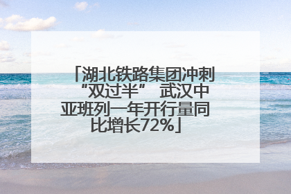 湖北铁路集团冲刺“双过半” 武汉中亚班列一年开行量同比增长72%