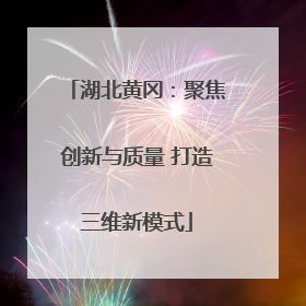 湖北黄冈：聚焦创新与质量 打造三维新模式