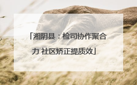 湘阴县：检司协作聚合力 社区矫正提质效