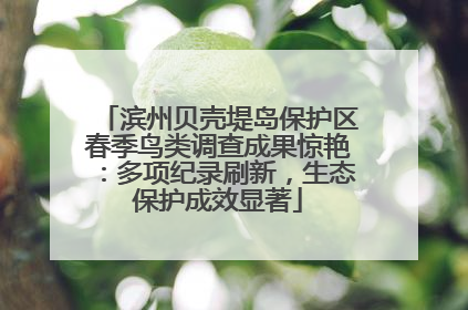 滨州贝壳堤岛保护区春季鸟类调查成果惊艳：多项纪录刷新，生态保护成效显著