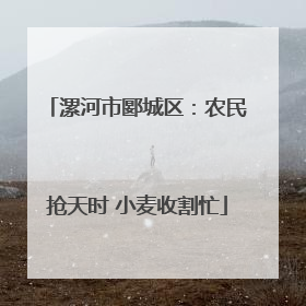 漯河市郾城区：农民抢天时 小麦收割忙
