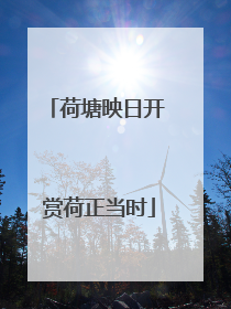 荷塘映日开 赏荷正当时