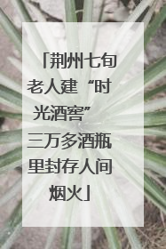 荆州七旬老人建“时光酒窖” 三万多酒瓶里封存人间烟火