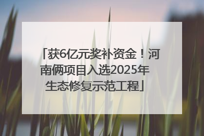 获6亿元奖补资金！河南俩项目入选2025年生态修复示范工程
