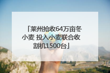莱州抢收64万亩冬小麦 投入小麦联合收割机1500台