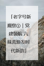 老字号新观察①｜党建领航 六味斋焕发时代新韵