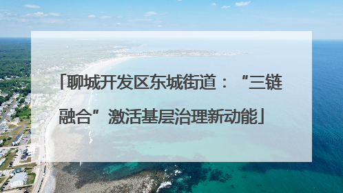 聊城开发区东城街道：“三链融合”激活基层治理新动能