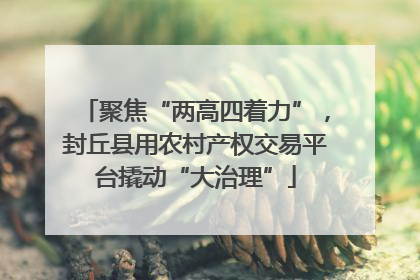 聚焦“两高四着力”，封丘县用农村产权交易平台撬动“大治理”