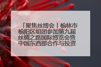 聚焦丝博会丨榆林市榆阳区组团参加第九届丝绸之路国际博览会暨中国东西部合作与投资贸易洽谈会