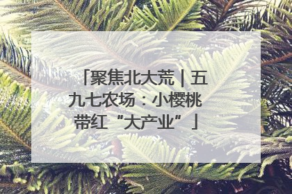 聚焦北大荒｜五九七农场：小樱桃带红“大产业”