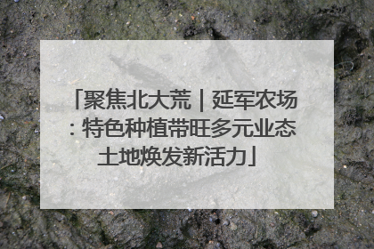 聚焦北大荒｜延军农场：特色种植带旺多元业态 土地焕发新活力