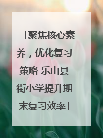 聚焦核心素养，优化复习策略 乐山县街小学提升期末复习效率
