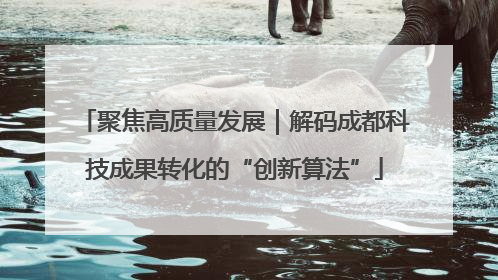 聚焦高质量发展｜解码成都科技成果转化的“创新算法”
