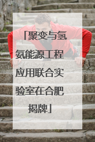 聚变与氢氨能源工程应用联合实验室在合肥揭牌