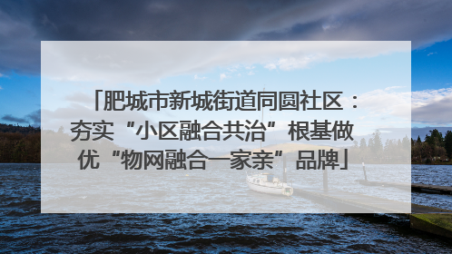 肥城市新城街道同圆社区：夯实“小区融合共治”根基做优“物网融合一家亲”品牌