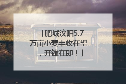 肥城汶阳5.7万亩小麦丰收在望，开镰在即！