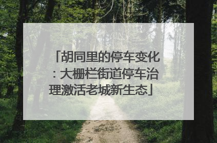 胡同里的停车变化：大栅栏街道停车治理激活老城新生态